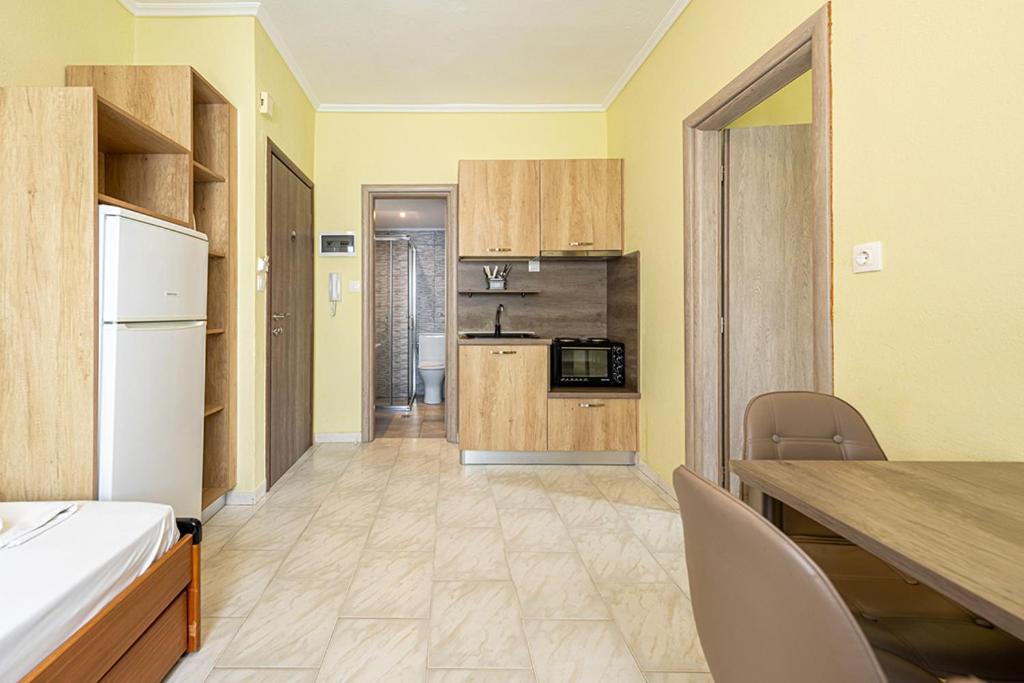 Dionisos Apartments 帕拉利亚狄奥尼索 客房 照片